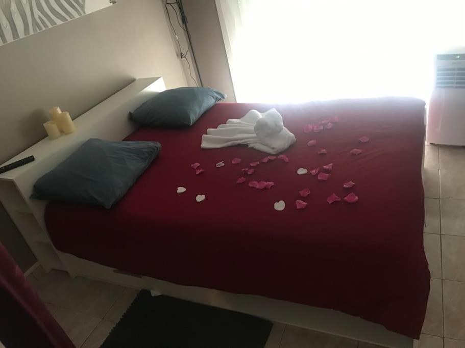 Hyper Centre De Marseille Vieux Port Apartment Ngoại thất bức ảnh